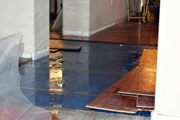 Professional Basement Flood Cleanup technician working in Ringle, WI